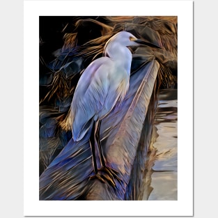 Great White Heron. Posters and Art